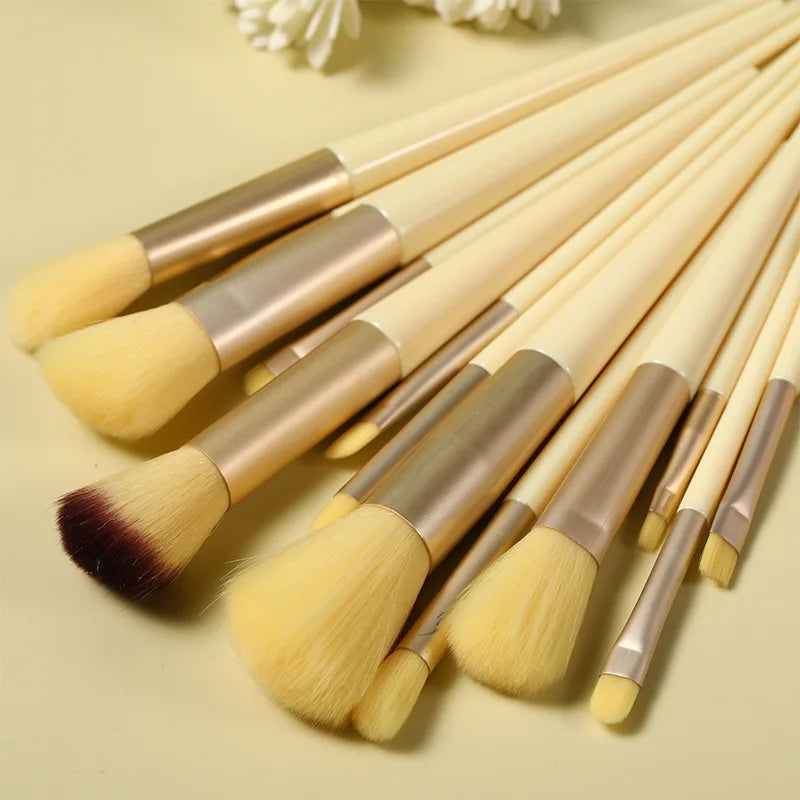 Set de 13 Brochas de Maquillaje Profesionales con Estuche