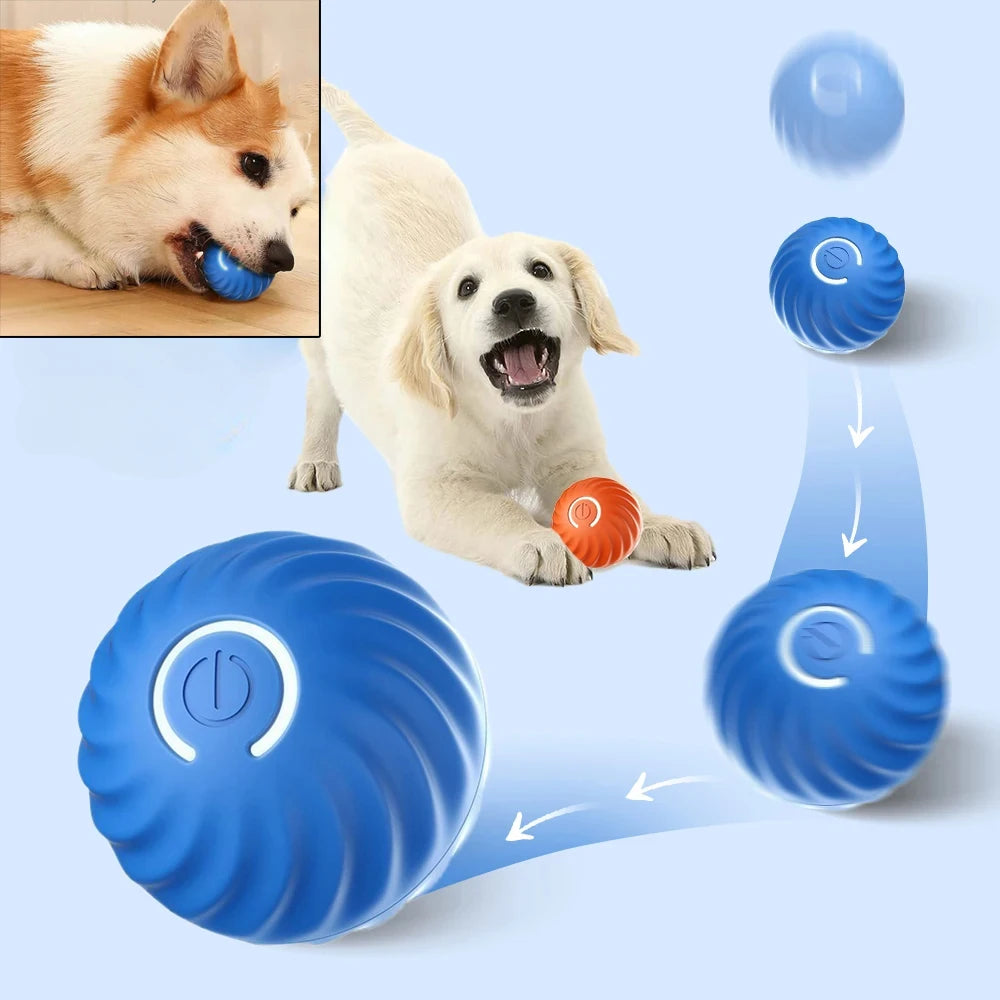 Pelota Interactiva Automática para Perros con USB