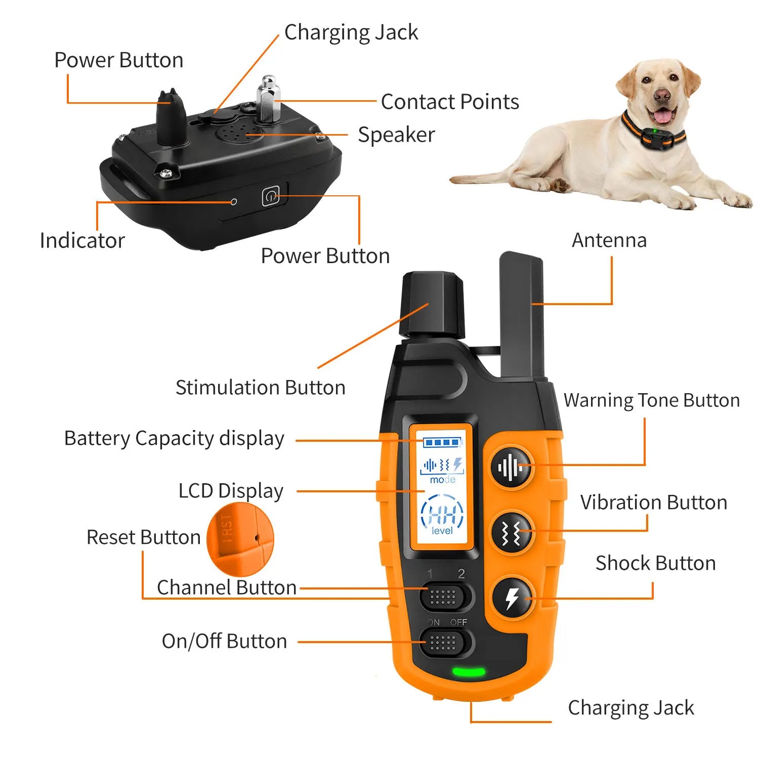 Collar de Adiestramiento para Perros con Mando a Distancia — 1000m Recargable