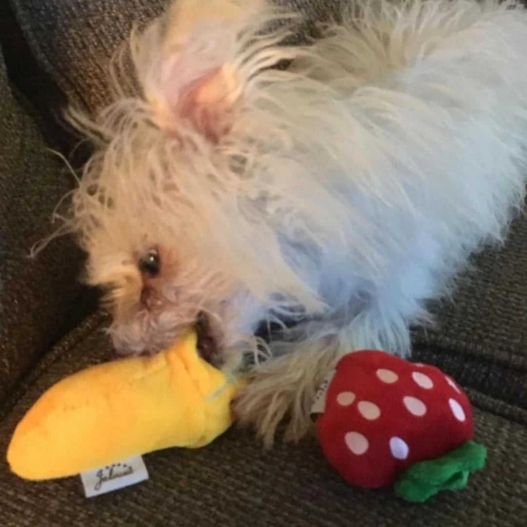 Set 7 Juguetes de Peluche para Cachorros — Frutas y Verduras con Sonido