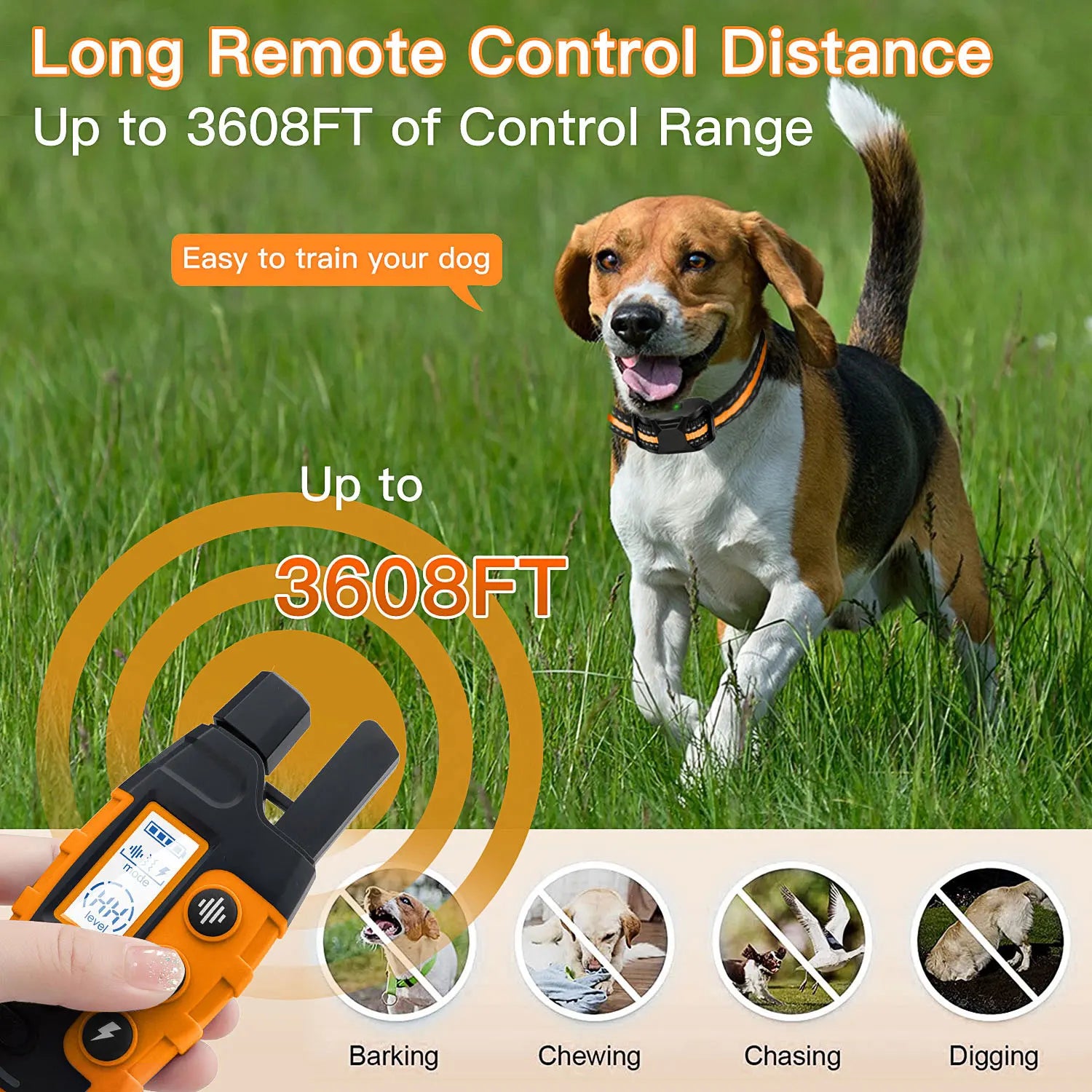 Collar de Adiestramiento para Perros con Mando a Distancia — 1000m Recargable
