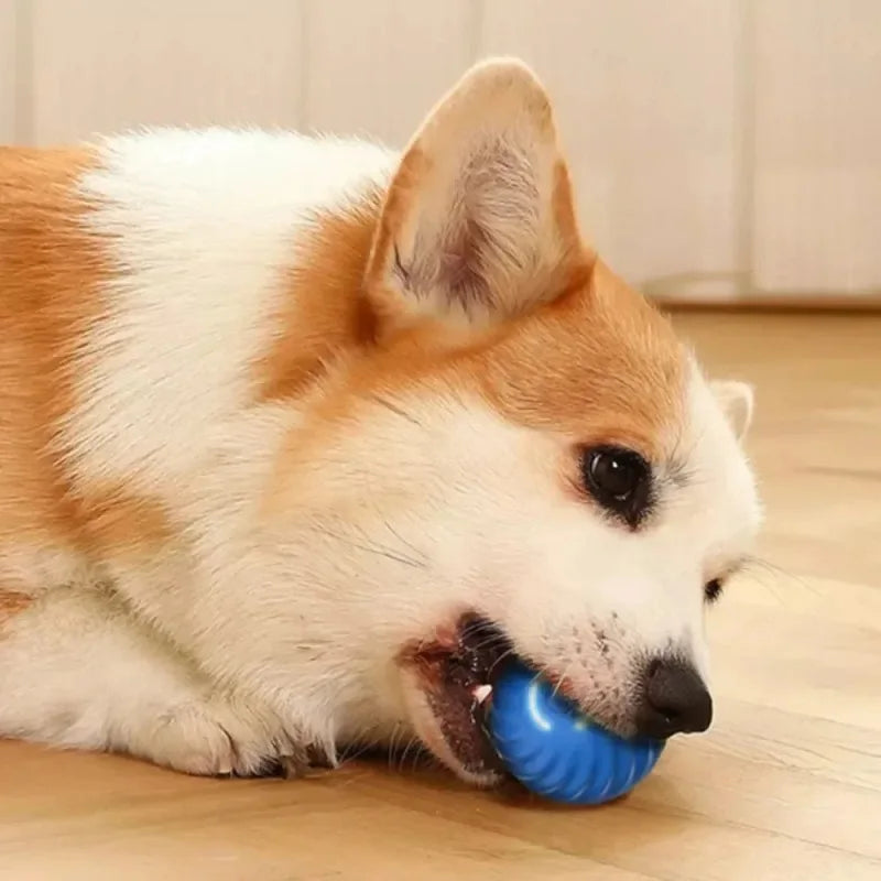 Pelota Interactiva Automática para Perros con USB