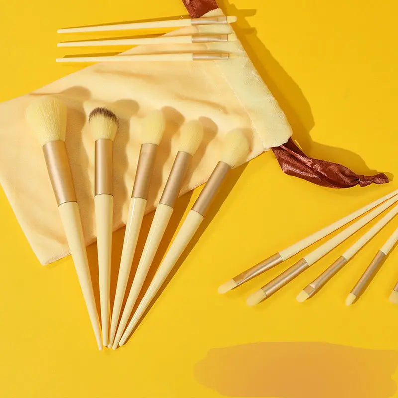 Set de 13 Brochas de Maquillaje Profesionales con Estuche