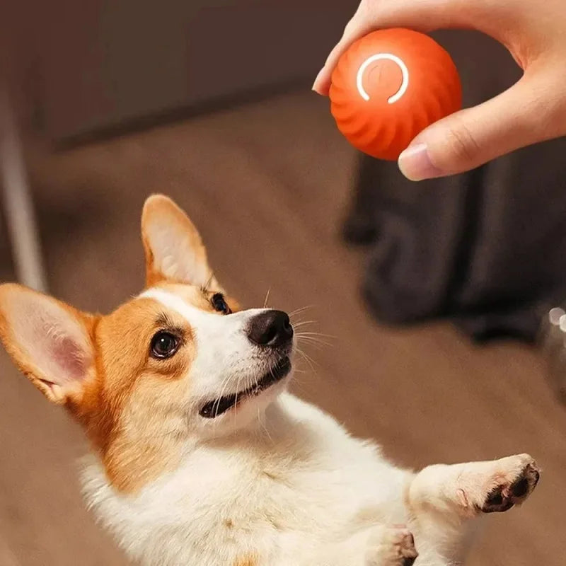 Pelota Interactiva Automática para Perros con USB