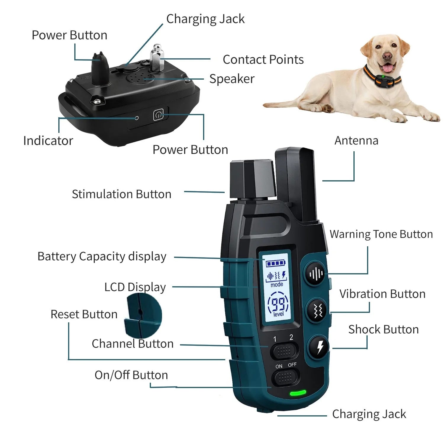 Collar de Adiestramiento para 2 Perros con Mando — 3300 pies, Recargable