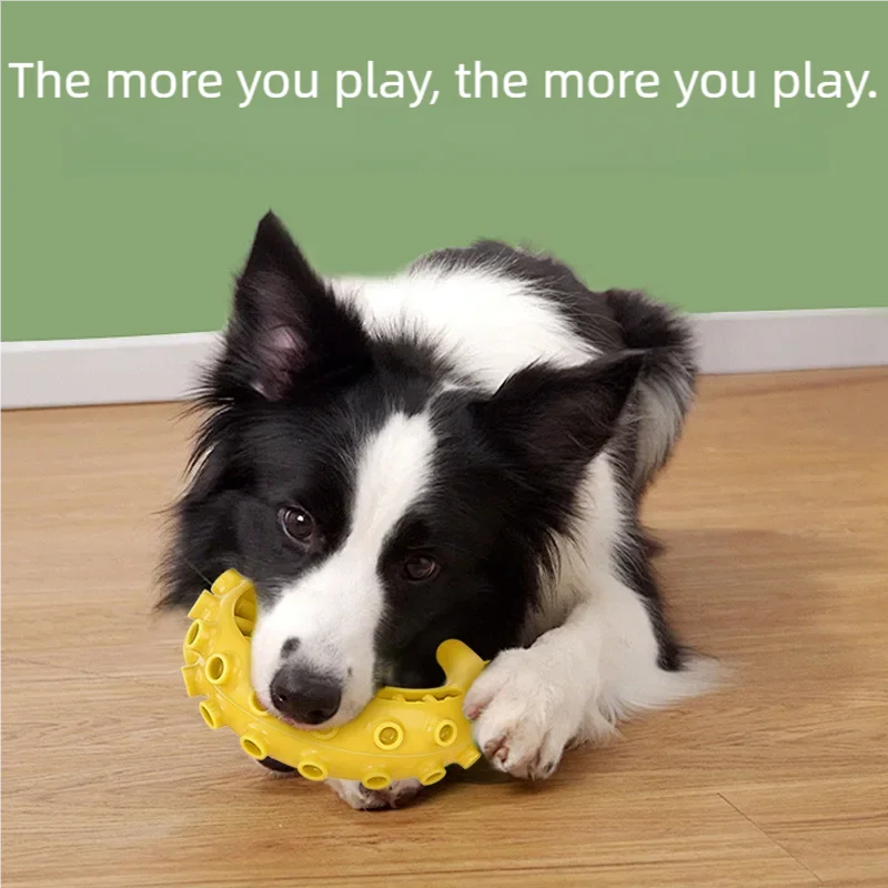 Juguete Mordedor TPR para Perros Pequeños y Medianos — Limpieza Dental